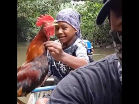 Choking The Chicken Meme Viral Views Humor