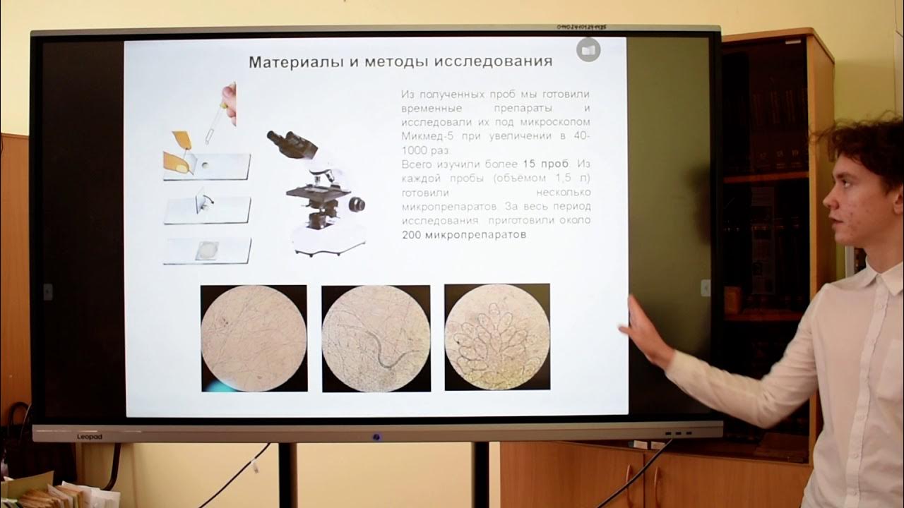 Защита проекта 9 класс нейросеть Pin on Quantum