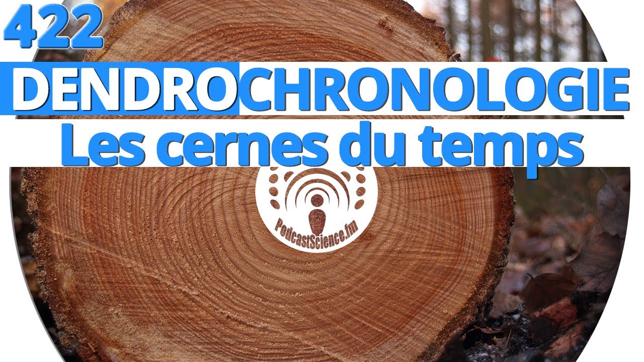422 - Dendrochronologie : les cernes du temps - YouTube