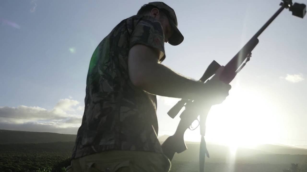 Kingsview Promo YouTube