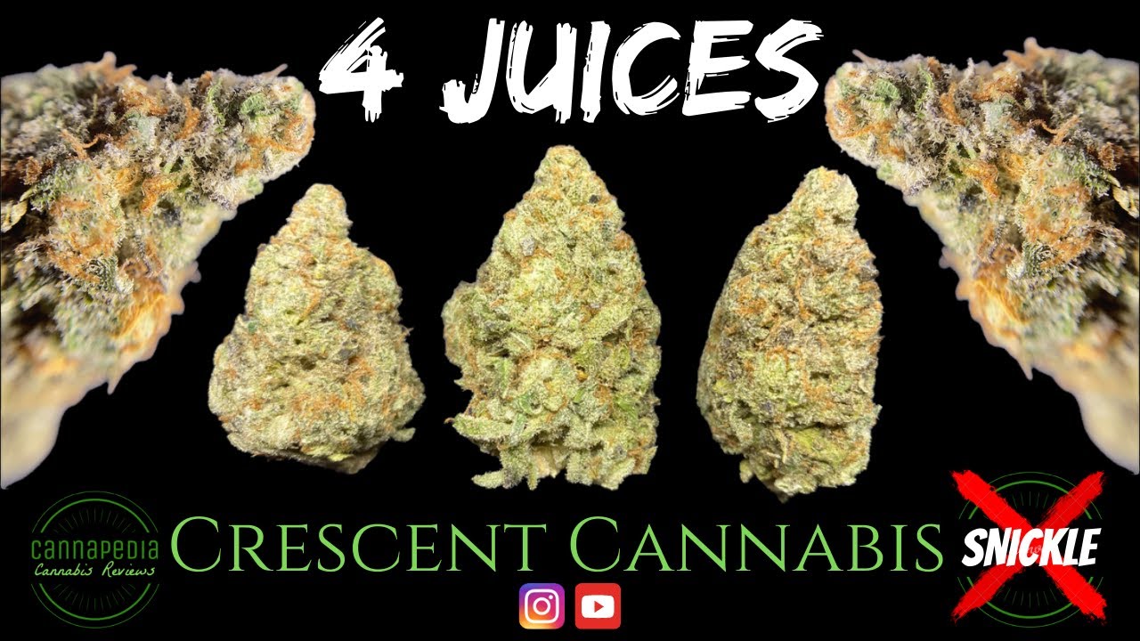 4 Juices Strain Review Crescent Cannabis Cannapedia YouTube
