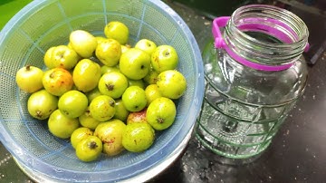 Cách Làm Táo Mèo Ngâm Đường Nhiều công dụng tuyệt vời