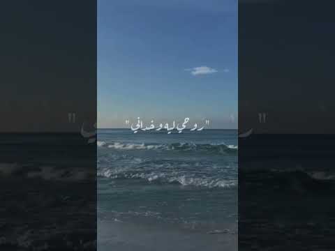 حالات واتس وحشانى دنيتى وحشانى