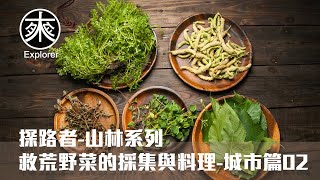 台灣野菜採集與料理，小葉冷水麻、構樹花穗、酢醬草、馬齒莧、朱槿｜城市野人系列02｜探路者