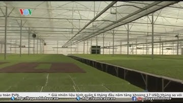 Đẩy mạnh ứng dụng công nghệ cao vào sản xuất nông nghiệp | VOVTV