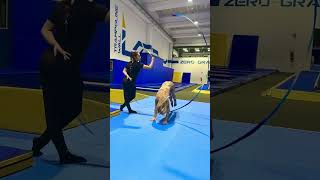 Ginnastica RITMICA e ARTISTICA insieme 👏🔥💯