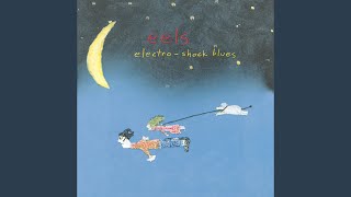 Video thumbnail of "Eels - Dead Of Winter"