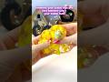 Lemon drops pompom clear slime satisfying ASMR 🥰 #slime