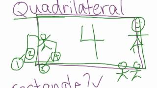 Learn about Polygons