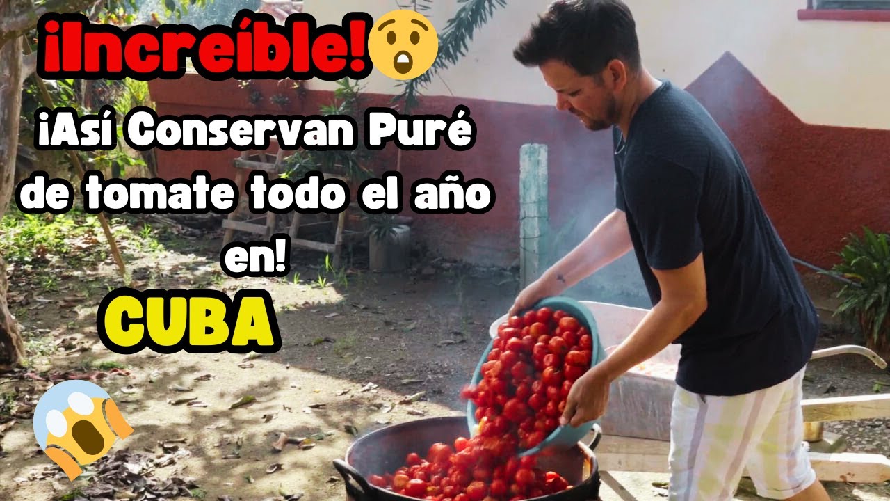 Cómo se Hace el Puré de Tomate con Apagones en Cuba 🍅No lo vas a Creer