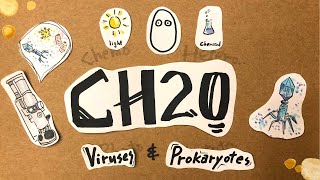 Viruses and Prokaryotes-Miller & Levine Biology Ch20