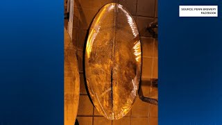 Pittsburgh brewery’s historic keepsake found safe after reported theft; suspects to face charges