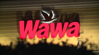 Woman's purse stolen at Wawa in Stuart; 2 arrested