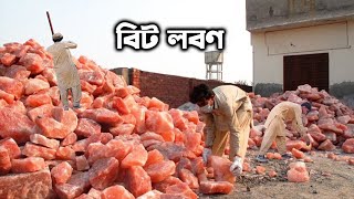 ফ্যাক্টরিতে আসল বিট লবণ কিভাবে তৈরি হয় | How original black and pink salt made in factory by Q Fact Bangla 2,542 views 2 months ago 8 minutes, 40 seconds
