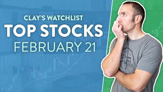 Top 10 Stocks For February 21, 2024 ( $Cpop, $Lunr, $Ocgn, $Soxs, $Amc, And More! )