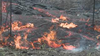 2014-11-06 large lava breakout