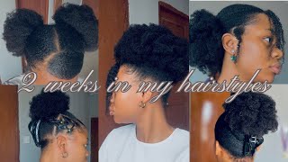 How I Style My Natural Hair For 2 Weeks | suitable for school & work✨