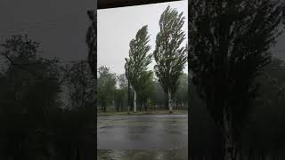 гроза Кривой Рог 11.08.2022