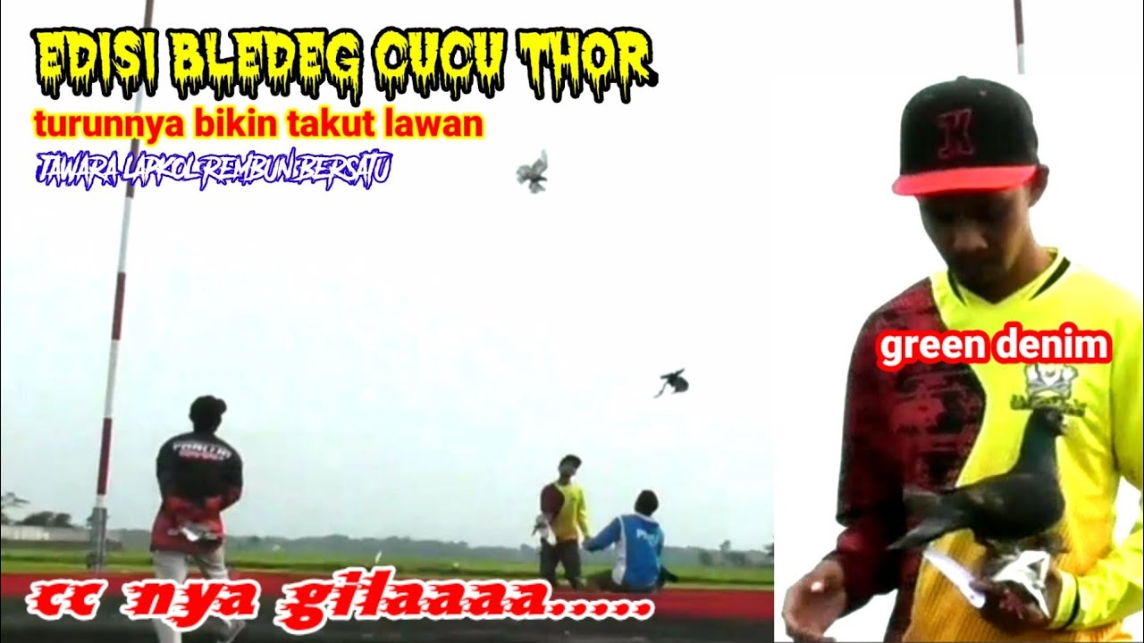 ❤️EDISI SPECIAL BLEDEG CUCU THOR KENWOOD TEAM GREEN DENIM‼️JAWARA BARU LAPKOL WIDORO REMBUN BERSATU