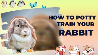 খরগোশকে পি পটি ট্রেইন করুন ৩দিনে  | Make Your Rabbit Pee Potty Train In 3Days