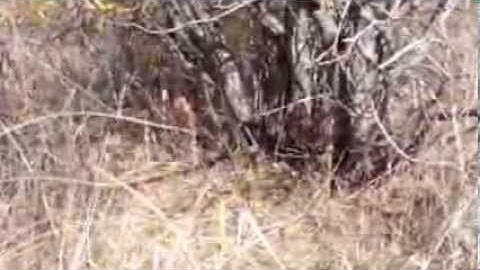 interACTIONs within Ecosystems