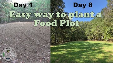 How to plant food plots for deer | Useful Knowledge