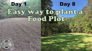 How to plant food plots for deer | Useful Knowledge