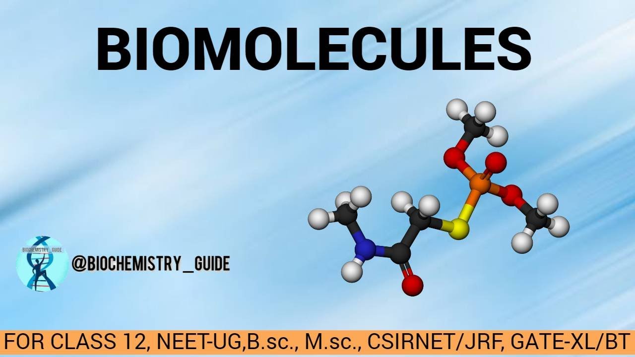 BIOMOLECULES YouTube
