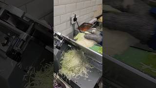 shortvideo Coleslaw salad viral youtubeshorts