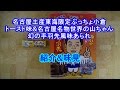 名古屋土産東海限定ぷっちょ小倉トースト味と名古屋名物世界の山ちゃん幻の手羽先風味あられの紹介と味見