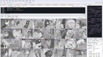 R Tutorial 31: Convolutional Neural Network (CNN) in R using Keras from Python for Image Recognition