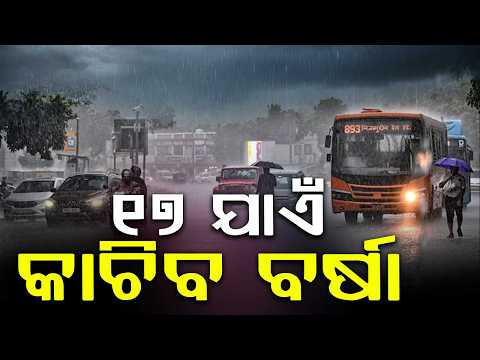 Odisha Rain Alert: Heavy Downpour To Continue, 7 Districts On Yellow Warning | Argus News