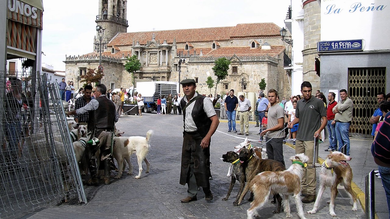 VI RUTA DE LA TAPA DE HINOJOSA DEL DUQUE: SEGUNDO GANADOR CONCURSO DE VÍDEO SABOREAHINOJOSA2016