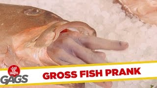 Gross Dead Fish Prank screenshot 1