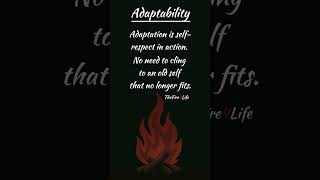 Adaptability: Respect Who You’re Becoming #adaptability #growth #quotes #lifelessons #wisdom