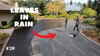 Professional Driveway Sealcoating #39 'Leaves in Rain'