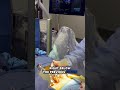 #AI Surgery Follow-Up