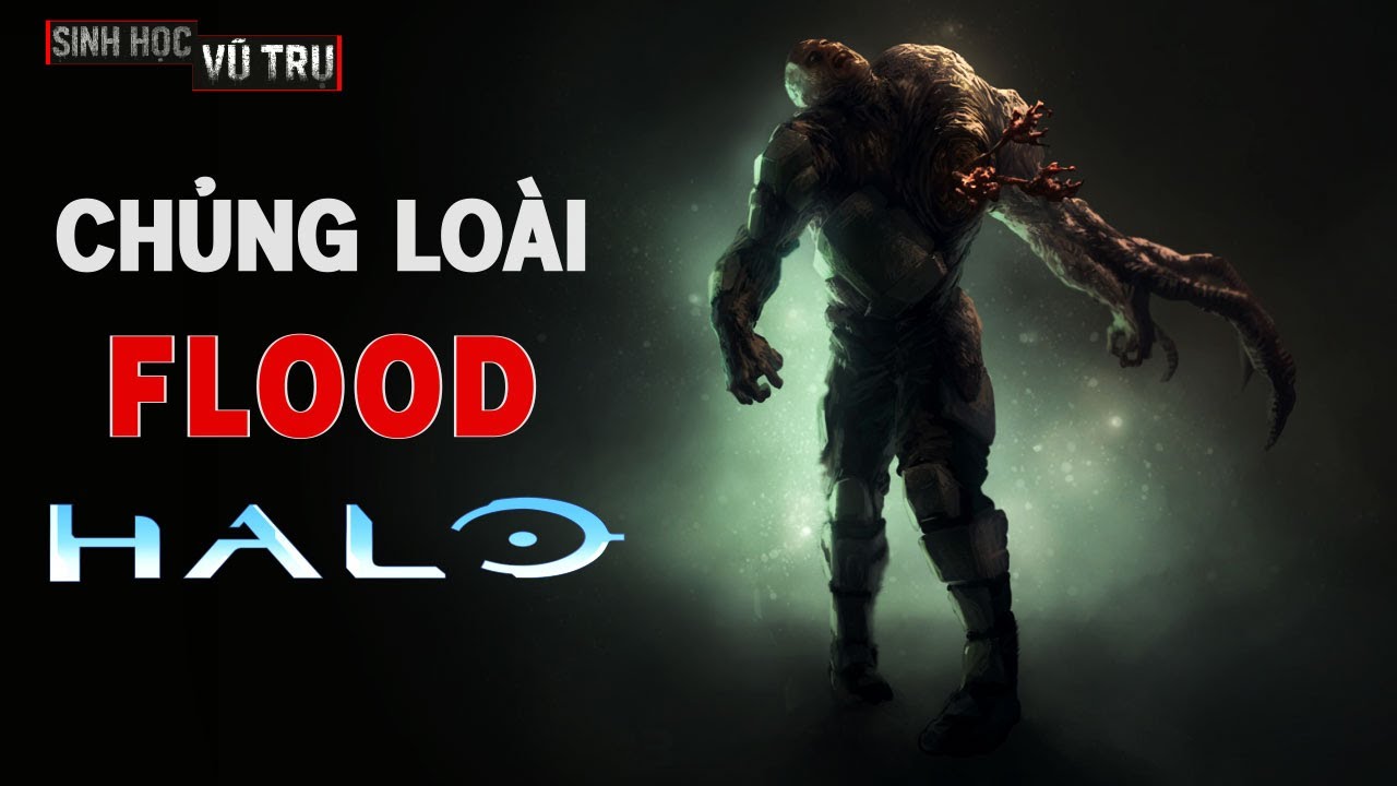 QUÁI VẬT FLOOD TRONG HALO | SINH HỌC VŨ TRỤ
