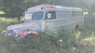 1946 Chevy Superior 7 window school bus  KoolAid Acid Test  Into The Wild  Electric Mayhem