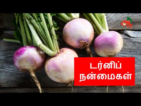 டர்னிப் நன்மைகள் /  Turnip Benefits in Tamil