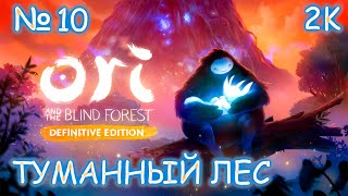 Ori and the blind forest: definitive edition 🔵 № 10 Туманный лес 🔵 Прохождение 🔵 ОДНА ЖИЗНЬ 🔵 2k