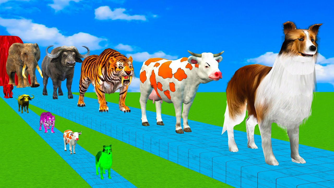 Super Long Slide Game with Cow Elephant Gorilla Hippopotamus Tiger 3d Animal Game Funny 3d Animals