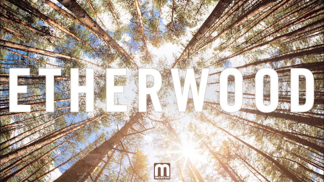 Etherwood - Away With Me Etherwood - Away With Me