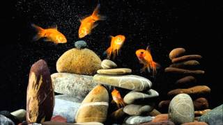 Chicane - Goldfish