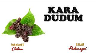 Kara Dudum Şi̇i̇r Mehmet Çeti̇n Yorum Emi̇n Pekmezci̇