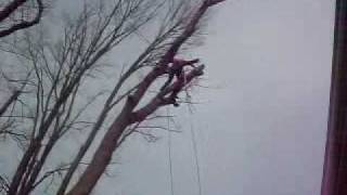 Hackberry no Clean-up