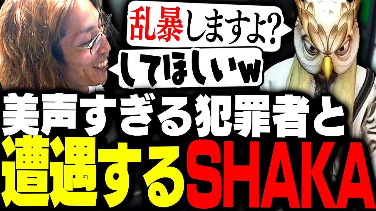 声が良すぎる犯罪初心者と遭遇するSHAKA【GTA5】