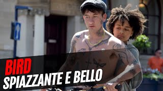 Bird, recensione dello spiazzante film di Andrea Arnold con Barry Keoghan