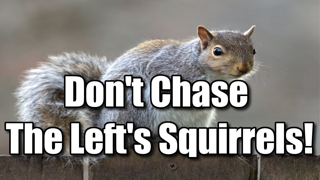 Don't Chase The Left's Squirrels! The Refinery 11/11/14 (SNIP) YouTube