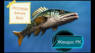 Реальная рыбалка 2 Исследование ёрш на карасевом